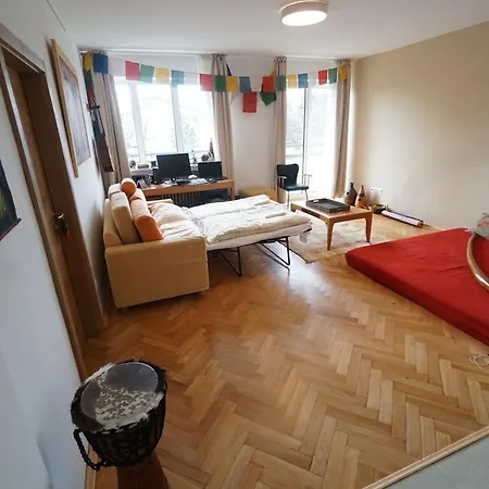 Big Charming Apt On Castle Hill Apartment